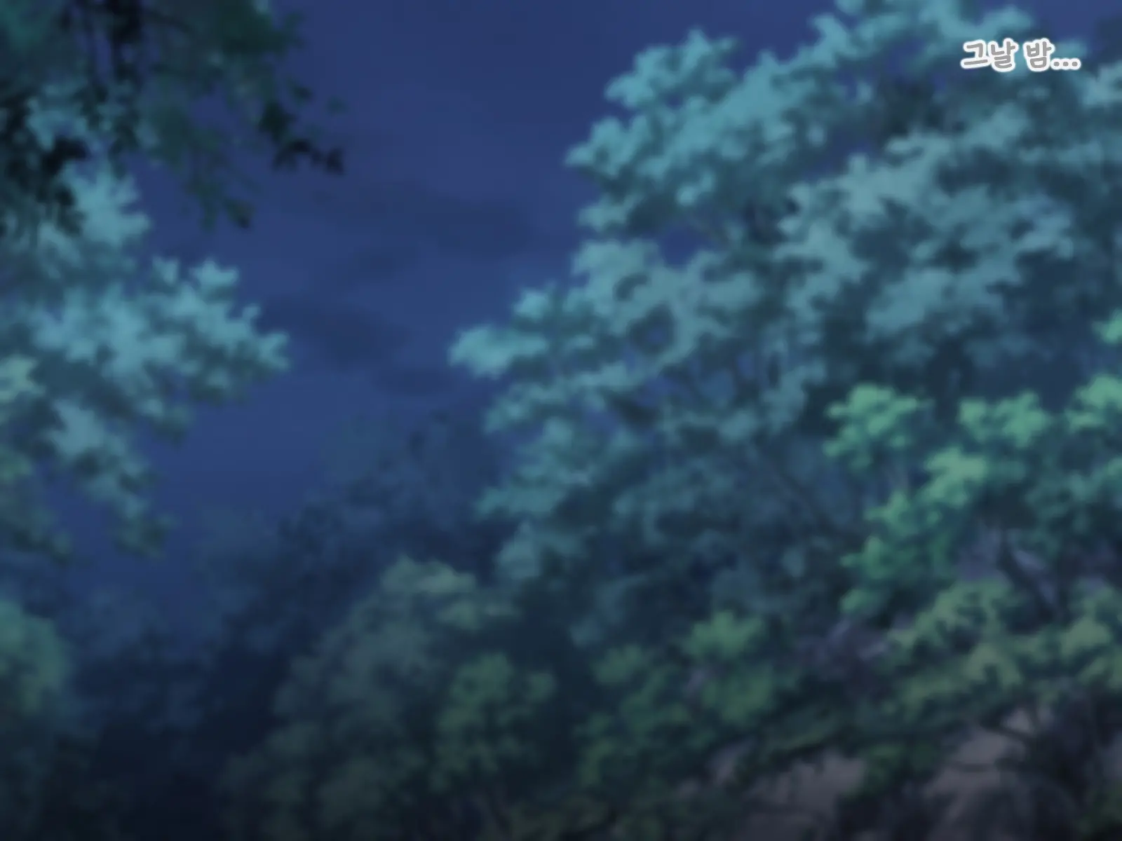 Junketsu Elf No Sennou Netorare Homestay Kouhen | 순결엘프의 세뇌 네토라레 홈스테이 후편